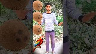 Rounding coconut to Duck, Peacock, Pigeon\u0026 Parrot - Birds names magic video #shorts #youtubeshorts