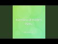 Harmony of Hidden Paths
