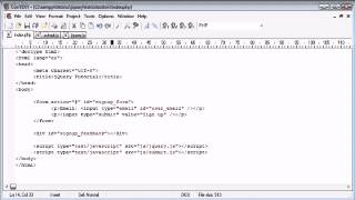 jQuery Tutorial 35 Submit