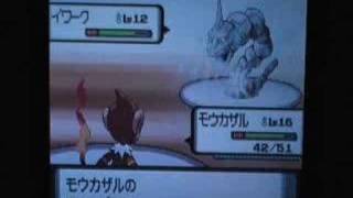 ポケットモンスターダイヤモンドジムリーダー戦　vsヒョウタ