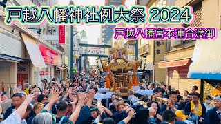 戸越八幡神社例大祭2024  戸越八幡宮本連合渡御　Togoshi Hachiman Shrine Annual Festival  2024.9.8