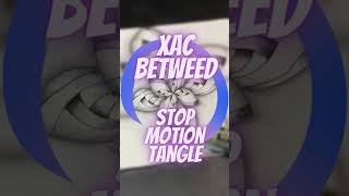 Xac Betweed: Stop motion zen art #shorts