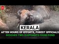 Kerala: After hours of efforts, forest officials rescued two elephants from pond