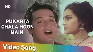 Pukarta Chala Hoon Main (HD) | Mere Sanam (1965) | Asha Parekh | Biswajit Chatterjee | Mohd.Rafi