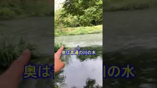 珍百景にも出てきた安曇野の二重の川