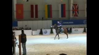 Pokaz 'MAŁOPOLAK POTRAFI' - Małopolak vs ściana /CAVALIADA LUBLIN 2013/