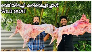 വെടിയിറച്ചി കറിവെച്ചപ്പോൾ,WILD GOAT BBQ,BELLARI MUTTON,BEST BBQ, BBQ RECIPE,GOAT CURRY,ORGANIC FOOD