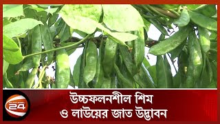 এক গাছ থেকেই মিলবে ১০ কেজি শিম | Channel24