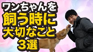 ワンちゃんを飼う時に伝える大切なこと3選