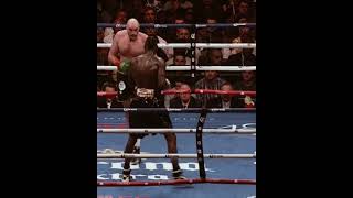 The momment when everyone thought deontay wilder had knocked out tyson fury