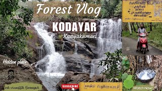 கோதையாறு | இரட்டை அருவி | பேச்சிபாறை அணை | Kodayar | Pechiparai Dam | கன்னியாகுமரி