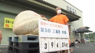 どでカボチャ日本一は木曽岬で育った394キロ　本業はトマト農家「あれで1位になって悪いな」