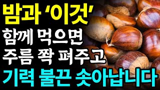 밤과 함께 먹으면 보약되는 음식 3가지와 레시피 총정리! 값비싼 영양제 대신 '이것' 드세요 I 신장에 좋은 음식 I