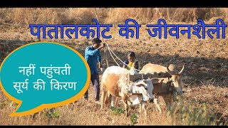 Patalkot ki dharohar se seedi baatchit | Rajakhok| Adbhut Rahasya #patalkot