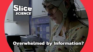 Is Information Overload Harming Your Brain ? | SLICE SCIENCE | FULL DOC