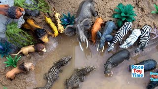 Toy Wild Safari Zoo Animals │Sea Animals Toys Fun Learning Videos For Kids