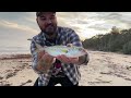 insane beach fishing session at pt leo shark catch at end