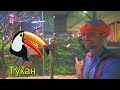 Блиппи идет в океанариум @Блиппи на русском blippi Блиппи