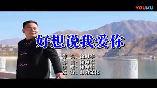 徐海军【好想说我爱你】原人原唱MV~KTV字幕