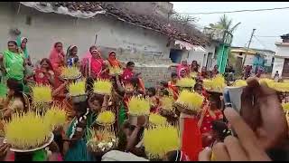 Bhojali visarjan | Bhojali dance video || Bhojali geet