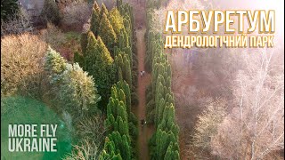 Arboretum in the village of Stradch - DJI Mavic #MOREFLY