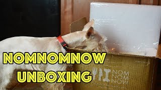 NomNomNow Unboxing | Fresh Dog Food Delivery Service