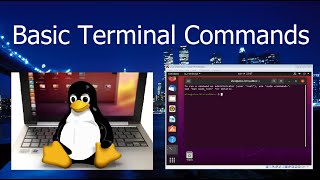 3. Basic Terminal Commands | Linux Ubuntu Tutorial for Beginners