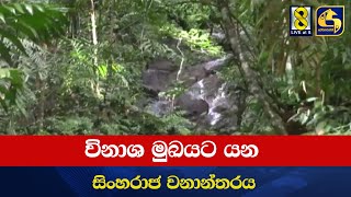 විනාශ මුඛයට යන සිංහරාජ වනාන්තරය