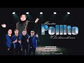 PROXIMAMENTE VOL 7 MAESTRO POLLITO Y LOS CHAMOS DEL AMOR