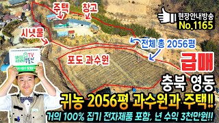 (급매) 귀농 귀촌 과수원과 주택 개인적 사정 급매물 충북 영동 전원주택 토지 매매 총 2056평 100% 집기 가전제품 농기계 포함 년 수익 3천만원 영동부동산 - 발품부동산TV