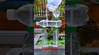 DIY Water Fountain Without Electricity At Home From Discarded Plastic Bottles - DEMO | #shorts