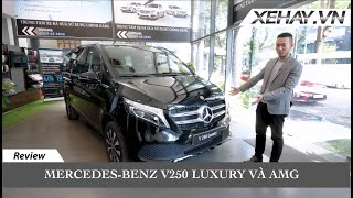 Lại là Mercedes. Đây là chiếc MPV đáng mua nhất phân khúc? V 250 Luxury và AMG | XE HAY