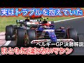 初日のトラブル直せず苦戦 さらにブレーキのトラブルも F1ベルギーGP決勝解説