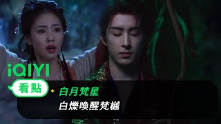 《白月梵星》EP17看點：白爍喚醒梵樾 | 愛奇藝