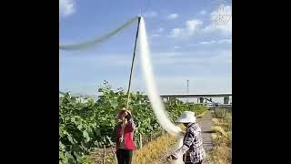 多尺寸 果樹防蟲網 櫻桃楊梅石榴網 防鳥網 多肉綠植【福滿來】 蓮霧 農用防蟲網 蔬菜 水果 花卉 防果蠅套袋AFJS