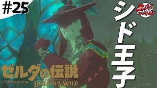 ゾーラ族のプリンス・シド王子登場だゾ！！【BotW】#25