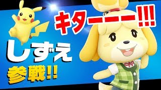 スマブラSPでしずえをゲットする方法！ピカチュウで勝ち上がり乱闘をクリアしまくれ！ / 大乱闘スマッシュブラザーズ SPECIAL #2