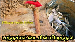 கிராமத்தில் மர பத்தக்கட்டையில் மீன் பிடிக்கும் முறை | Pathakattai fishing catching technology