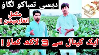 Tobacco farming complete information/#tobacco /best business tobacco farming