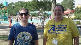 Pooch Plunge 2021 w Interview