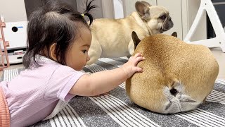 Our Baby Wakes Up My Dog In The Sweetest Way **WAIT FOR IT