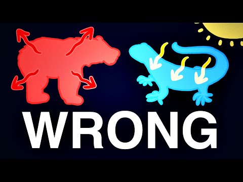 Are Crocodiles warm or cold-blooded?