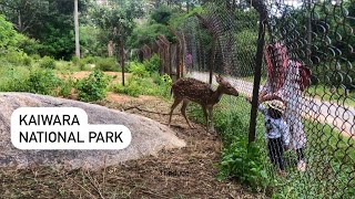 Kaiwara National Park, Chintamani #karnataka #shorts