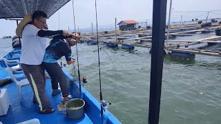 15/08/2024 Trip Mancing at Sangkar Sungai Udang Penang