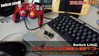 【Switch】Switch LiteでUSB接続は、どこまで可能？