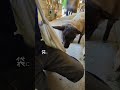 生後１１日目のポニーベイビー♡【渋川動物公園】ショコラの2024