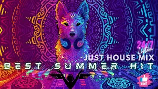 Best Summer House Music Mix | Just House Mix Summer Hits 2022