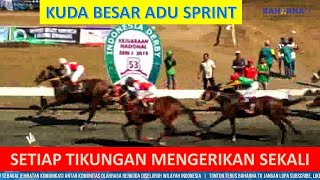 ADU CEPAT KUDA BESAR ! INDONESIA DERBY 2019 ! KELAS A SPRINT 1200M ! NGERI CEPATNYA ! LUAR BIASA