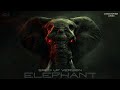 Christopher Ladex - ELEPHANT (Sped Up Version) [TikTok]