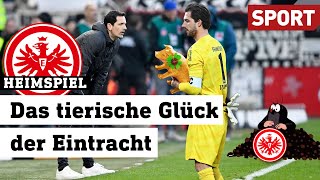 Eintracht Frankfurt: Zurück in der Erfolgsspur?| Heimspiel | 04.03.24 | Sport